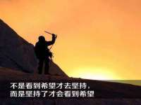 宁夏贝斯特科贸有限公司