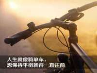 宁夏贝斯特科贸有限公司