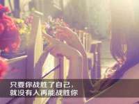 宁夏贝斯特科贸有限公司