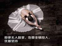 宁夏贝斯特科贸有限公司