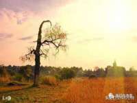 宁夏贝斯特科贸有限公司