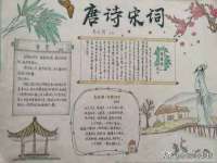 宁夏贝斯特科贸有限公司