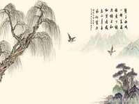 宁夏贝斯特科贸有限公司