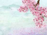 宁夏贝斯特科贸有限公司