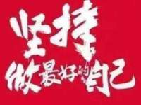 宁夏贝斯特科贸有限公司
