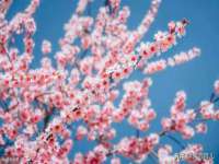 宁夏贝斯特科贸有限公司