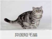 宁夏贝斯特科贸有限公司