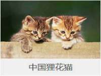 宁夏贝斯特科贸有限公司