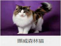 宁夏贝斯特科贸有限公司