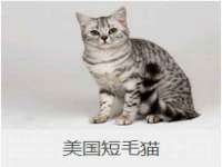 宁夏贝斯特科贸有限公司