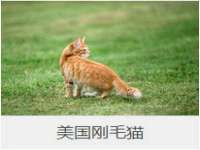 宁夏贝斯特科贸有限公司