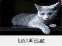宁夏贝斯特科贸有限公司