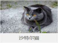 宁夏贝斯特科贸有限公司