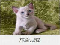 宁夏贝斯特科贸有限公司