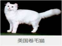 宁夏贝斯特科贸有限公司