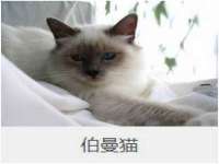 宁夏贝斯特科贸有限公司