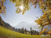 宁夏贝斯特科贸有限公司