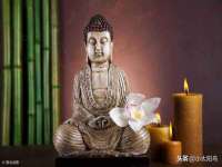 宁夏贝斯特科贸有限公司