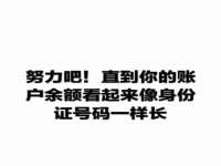 宁夏贝斯特科贸有限公司