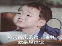 宁夏贝斯特科贸有限公司