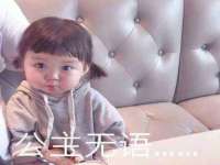 宁夏贝斯特科贸有限公司