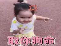 宁夏贝斯特科贸有限公司