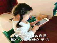 宁夏贝斯特科贸有限公司