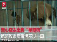 宁夏贝斯特科贸有限公司