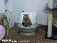 宁夏贝斯特科贸有限公司