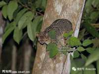 宁夏贝斯特科贸有限公司