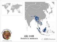 宁夏贝斯特科贸有限公司