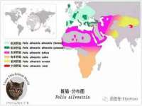 宁夏贝斯特科贸有限公司