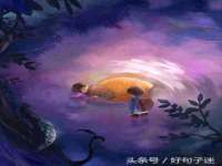 宁夏贝斯特科贸有限公司