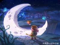 宁夏贝斯特科贸有限公司