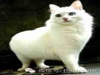 宁夏贝斯特科贸有限公司
