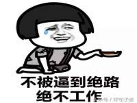 宁夏贝斯特科贸有限公司