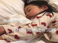 宁夏贝斯特科贸有限公司