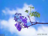 宁夏贝斯特科贸有限公司