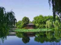 宁夏贝斯特科贸有限公司