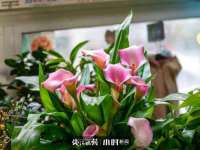 宁夏贝斯特科贸有限公司