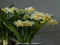 宁夏贝斯特科贸有限公司