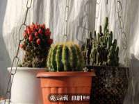 宁夏贝斯特科贸有限公司
