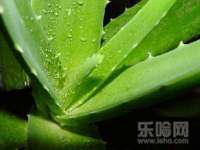 宁夏贝斯特科贸有限公司