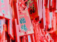 宁夏贝斯特科贸有限公司