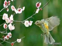 宁夏贝斯特科贸有限公司