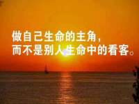 宁夏贝斯特科贸有限公司