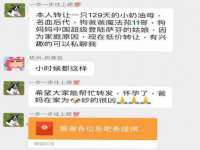 宁夏贝斯特科贸有限公司
