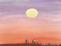 宁夏贝斯特科贸有限公司