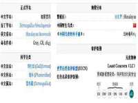 宁夏贝斯特科贸有限公司