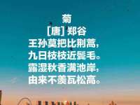 宁夏贝斯特科贸有限公司